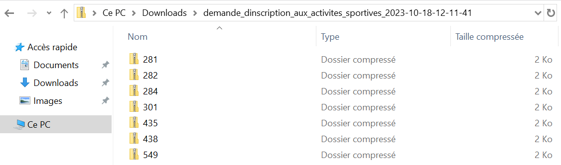 Export PDF PJ